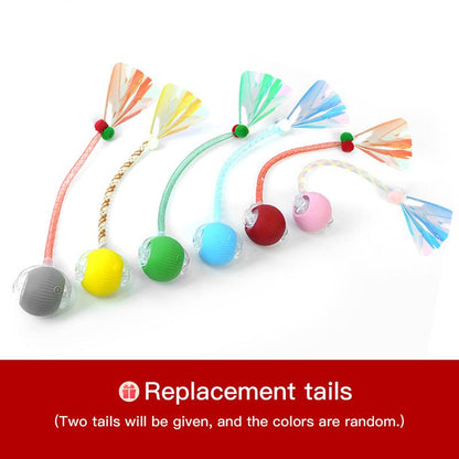 Interactive Rolling Ball for Dogs & Cats